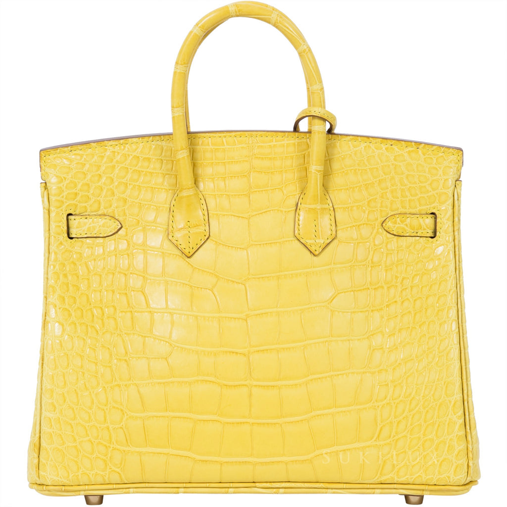 Hermès Birkin 25cm Crocodile Shiny Nilo 9M Sanguine Gold Hardware